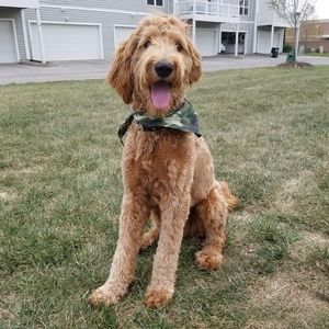 Meet your Posher, Nicholas